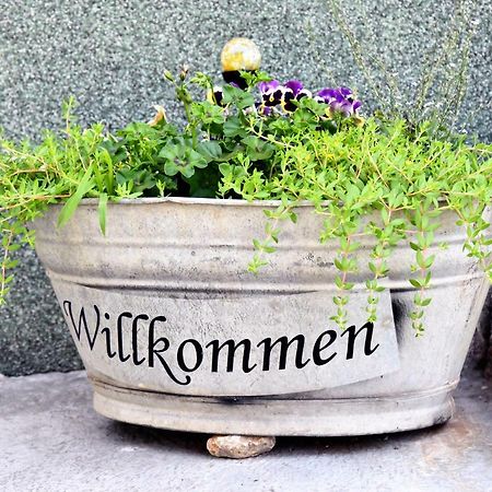 Ferienhaus "Am Gutspark" Alt Tucheband Kültér fotó