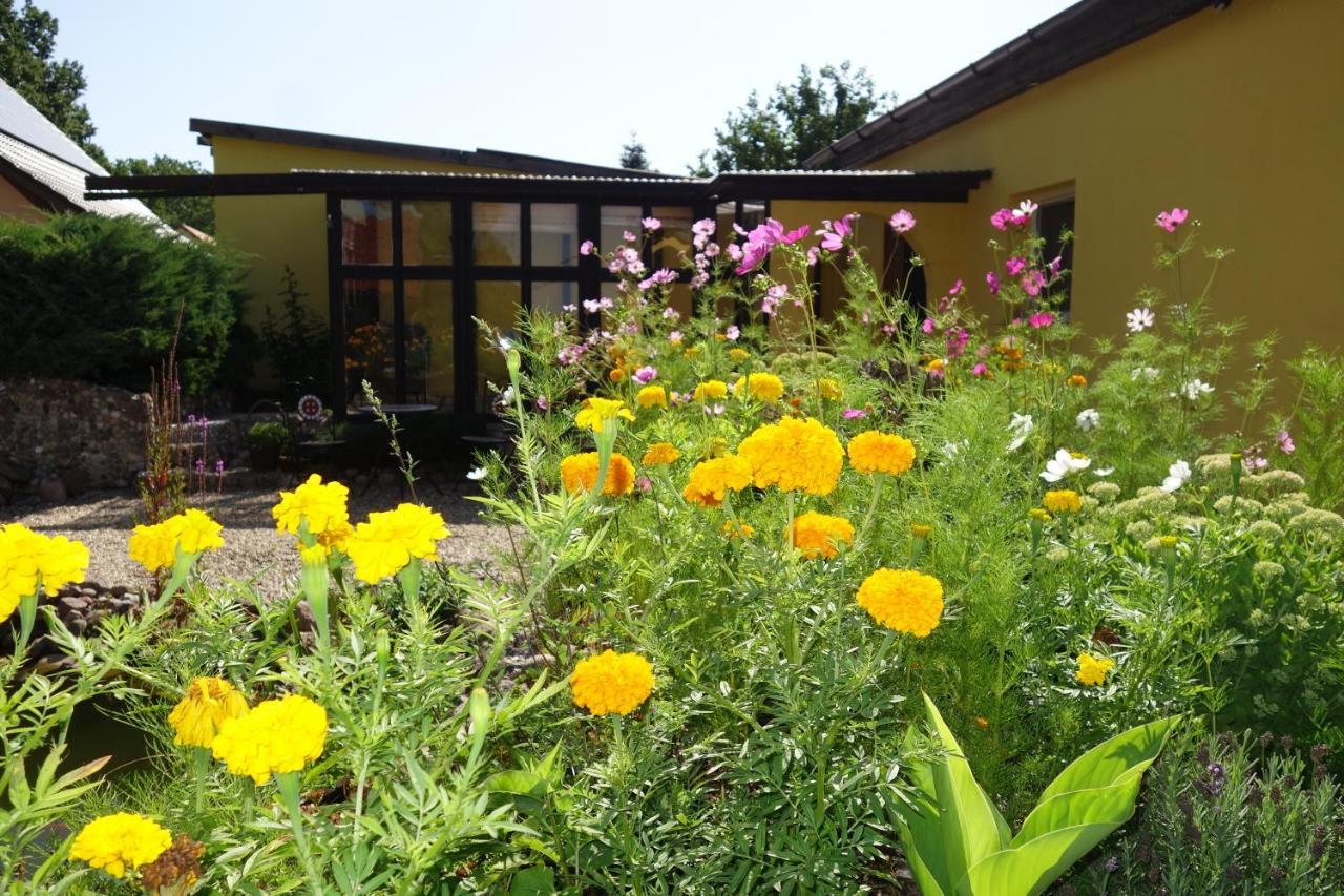 Ferienhaus "Am Gutspark" Alt Tucheband Kültér fotó