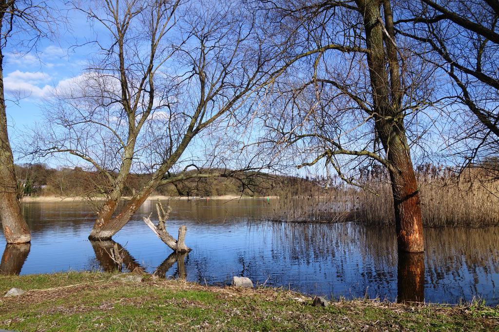 Ferienhaus "Am Gutspark" Alt Tucheband Kültér fotó