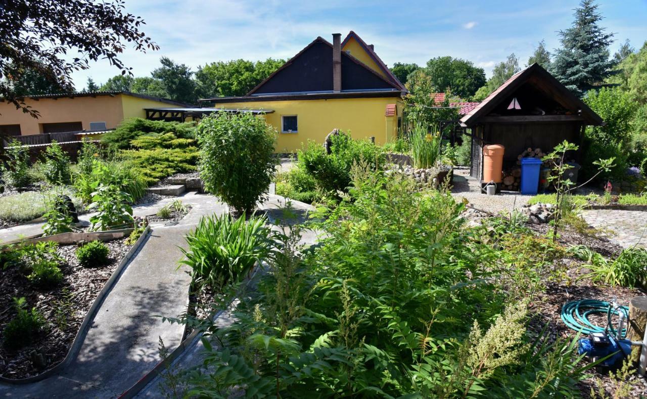Ferienhaus "Am Gutspark" Alt Tucheband Kültér fotó