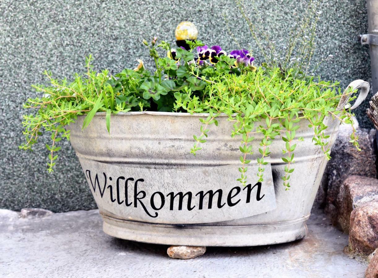 Ferienhaus "Am Gutspark" Alt Tucheband Kültér fotó